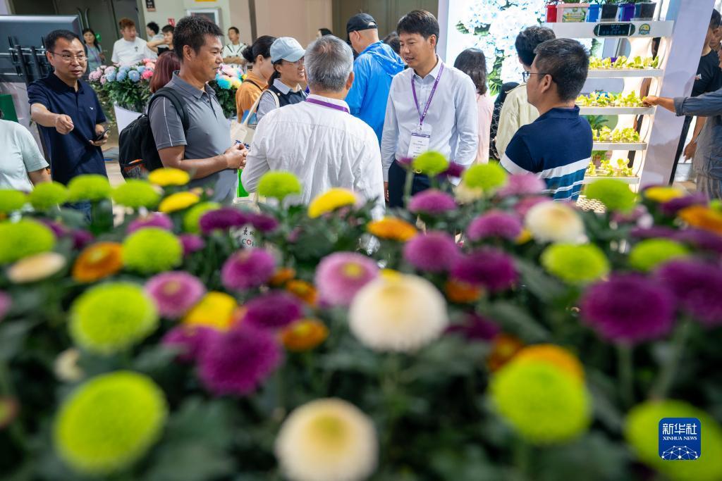 永利集团游戏